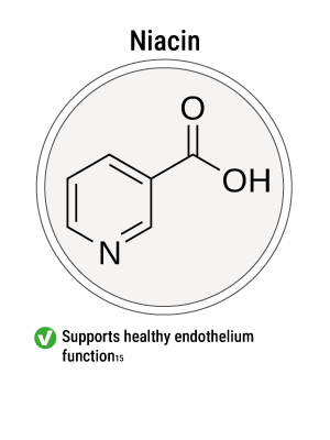 endopump,bpn endopump,endopumb,endopump review,endopump worth it,endopump reviews,bpn endo-pump,endopump supplement review,endo-pump supplement,endopump login,review on endopump,reviews on endopump,endopump does it work,endopump review 2023,endopump reviews 2023,endopump video review,endopump honest review,endopump ingredientes,endopump customer reviews,endo pump,bpn endo pump,endo pump bpn,endo pump it up,endo pump pills,endo pump promo