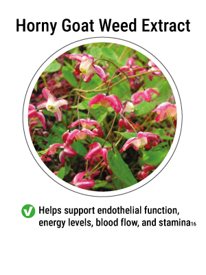 endopump,bpn endopump,endopumb,endopump review,endopump worth it,endopump reviews,bpn endo-pump,endopump supplement review,endo-pump supplement,endopump login,review on endopump,reviews on endopump,endopump does it work,endopump review 2023,endopump reviews 2023,endopump video review,endopump honest review,endopump ingredientes,endopump customer reviews,endo pump,bpn endo pump,endo pump bpn,endo pump it up,endo pump pills,endo pump promo