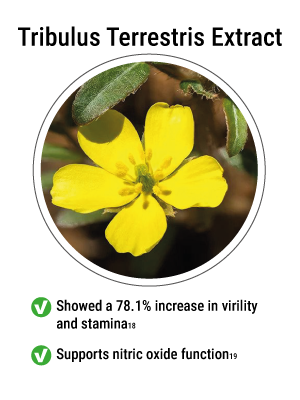 endopump,bpn endopump,endopumb,endopump review,endopump worth it,endopump reviews,bpn endo-pump,endopump supplement review,endo-pump supplement,endopump login,review on endopump,reviews on endopump,endopump does it work,endopump review 2023,endopump reviews 2023,endopump video review,endopump honest review,endopump ingredientes,endopump customer reviews,endo pump,bpn endo pump,endo pump bpn,endo pump it up,endo pump pills,endo pump promo